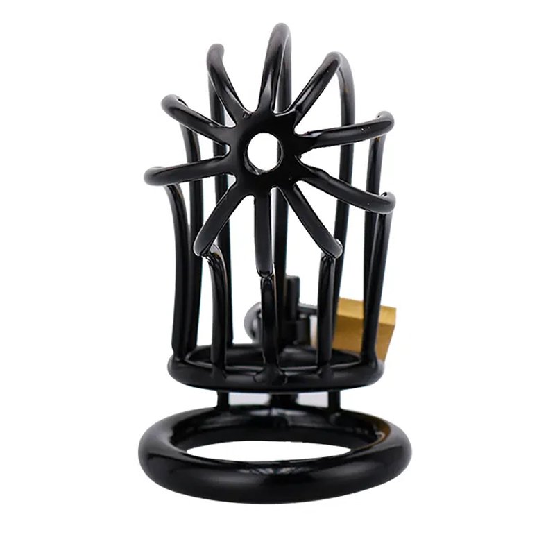 Penis Lock Banana Shape Hollow Chastity Device Black Coated Hollow Chastity Cage Bondage Gear Sex Toys for Men juguetes sexu