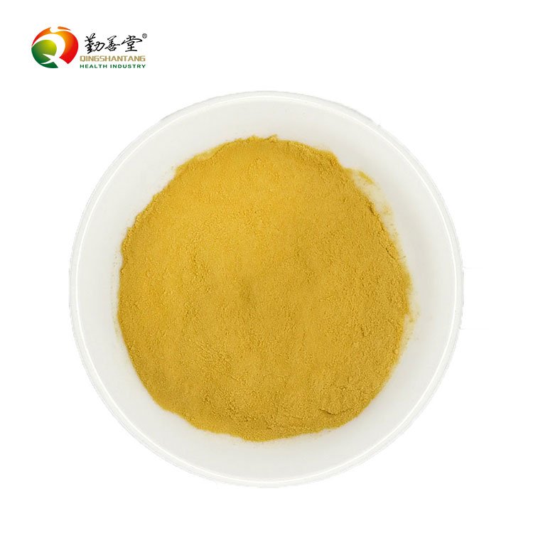 Lions mane Mushroom Powder Healthcare Supplement Organic Hericium erinaceus Extract Powder
