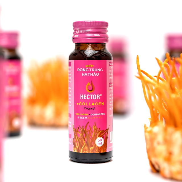 High Quality Cordyceps Drink Hector Collagen Beauty Collagen Supplements Collagen Serum Anti Aging Cordyceps Extract