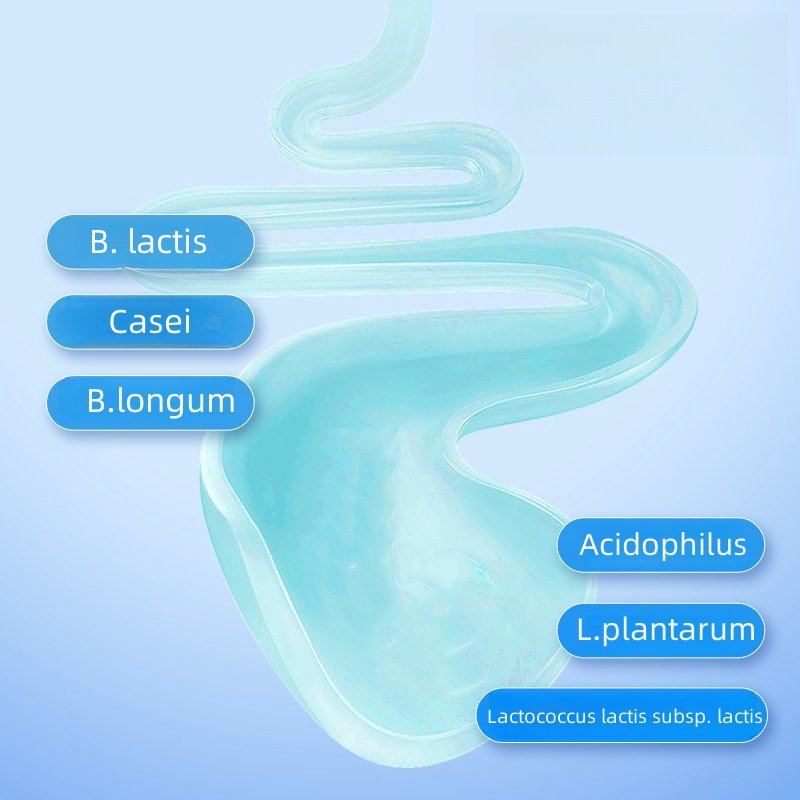 Winstown Probiotics health products healthcare OEM Lactobacillus probiotic powder for supplement