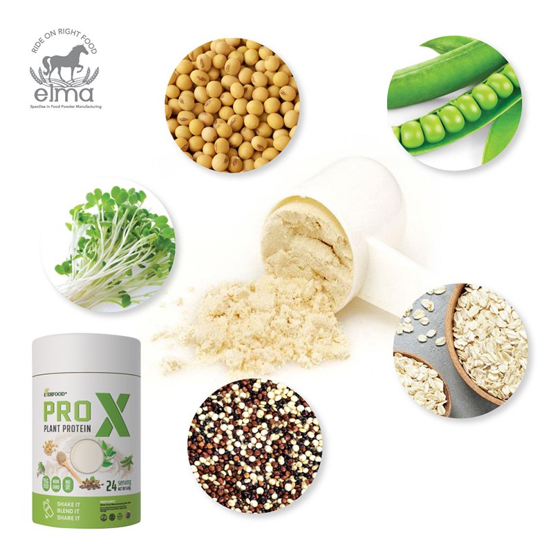 Pro X Plant Protein Powder High in Fiber OEM ODM Healthcare Supplement in Bottle Packaging