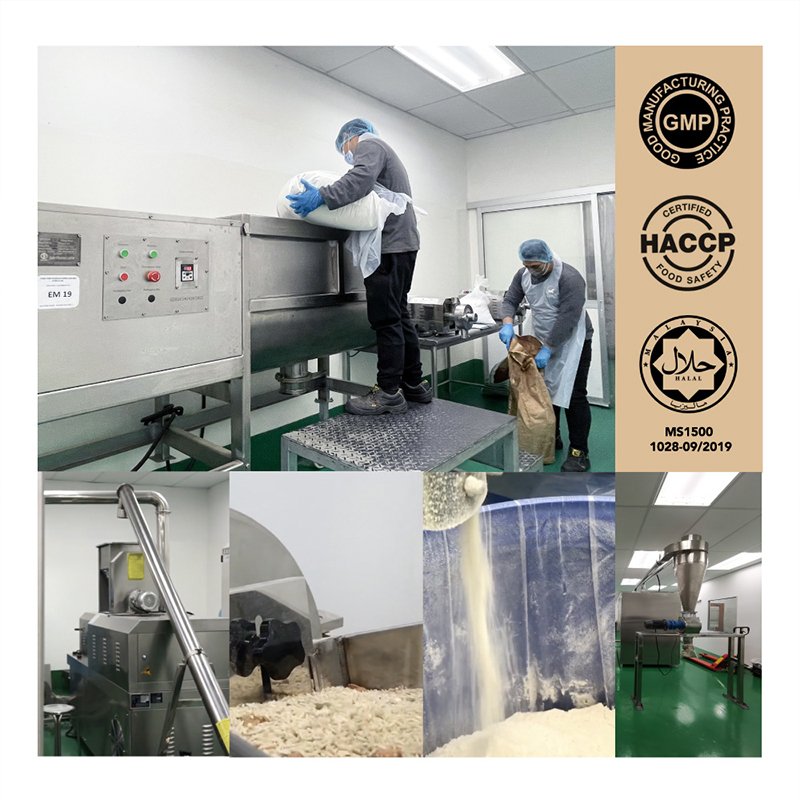 Pro X Plant Protein Powder High in Fiber OEM ODM Healthcare Supplement in Bottle Packaging