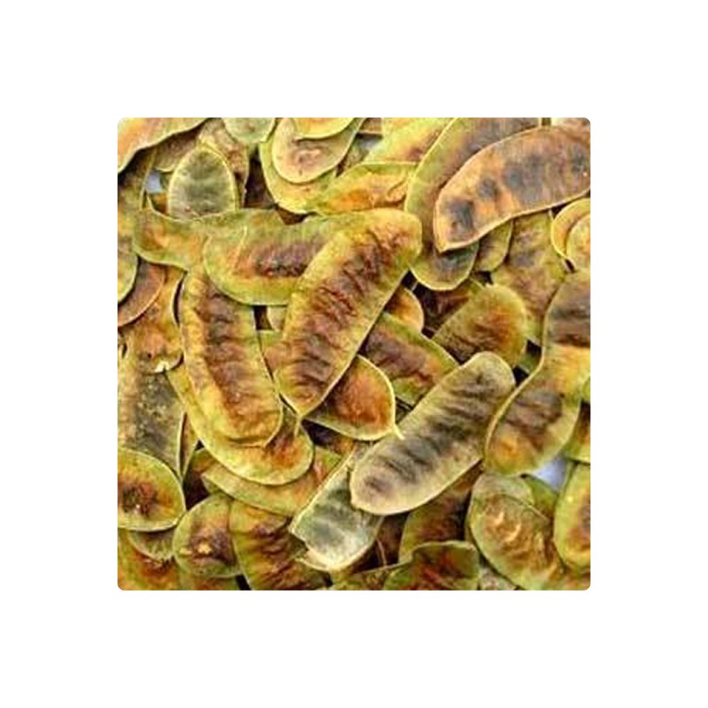 100% Natural Senna Pods Natural Dried Unsweetened Organic Healthcare Supplement Manufacture Supplier From India
