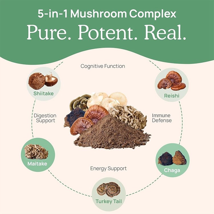 Organic Mushroom Extract 200 Capsules Mushroom Supplement for Brain Focus & Immune