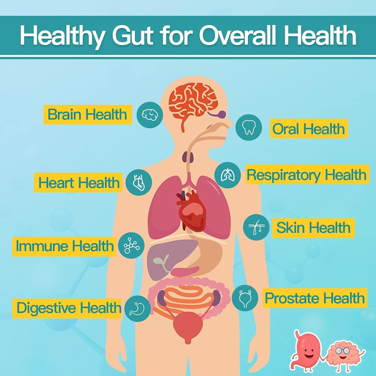 OEM Healthcare Supplement 900Billion CFU Lactobacillus DelbrueckiiProbiotics Tablets Probiotics Tablet