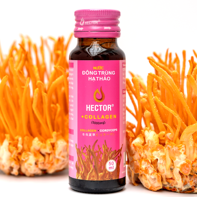 Cordyceps Drink Hector Collagen Beauty Collagen Supplements Collagen Serum Anti Aging Cordyceps Extract Good For Health