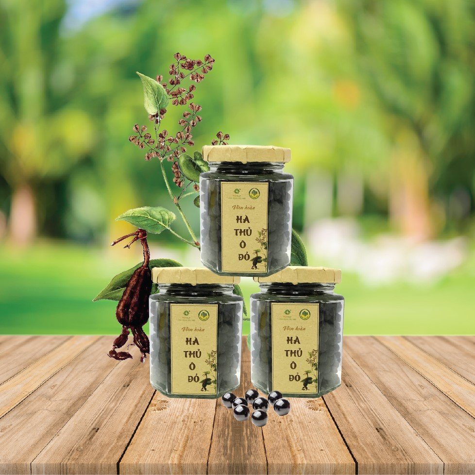 Ingredients Herbal Natural Polygonum multiflorum VietRAP OEM ODM Private Label Service Nature Herbal Healthcare Supplements