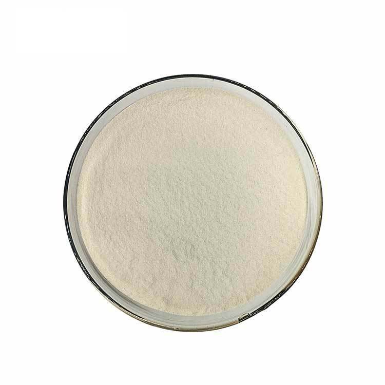 Wholesale Bulk Pre Workout Healthcare Supplement Branch-chain Amino Acid BCAA Powder 2:1:1 Cosmetic Adult Beauty Products 99%