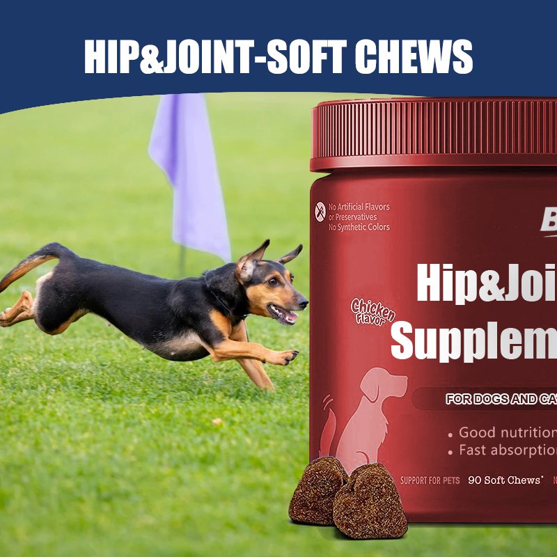 ODM&OEM Pet Chondroitin Sulfate for Joint Health Chewing Gum for Dog&Cat Natural Dogs and Cats Health Supplement