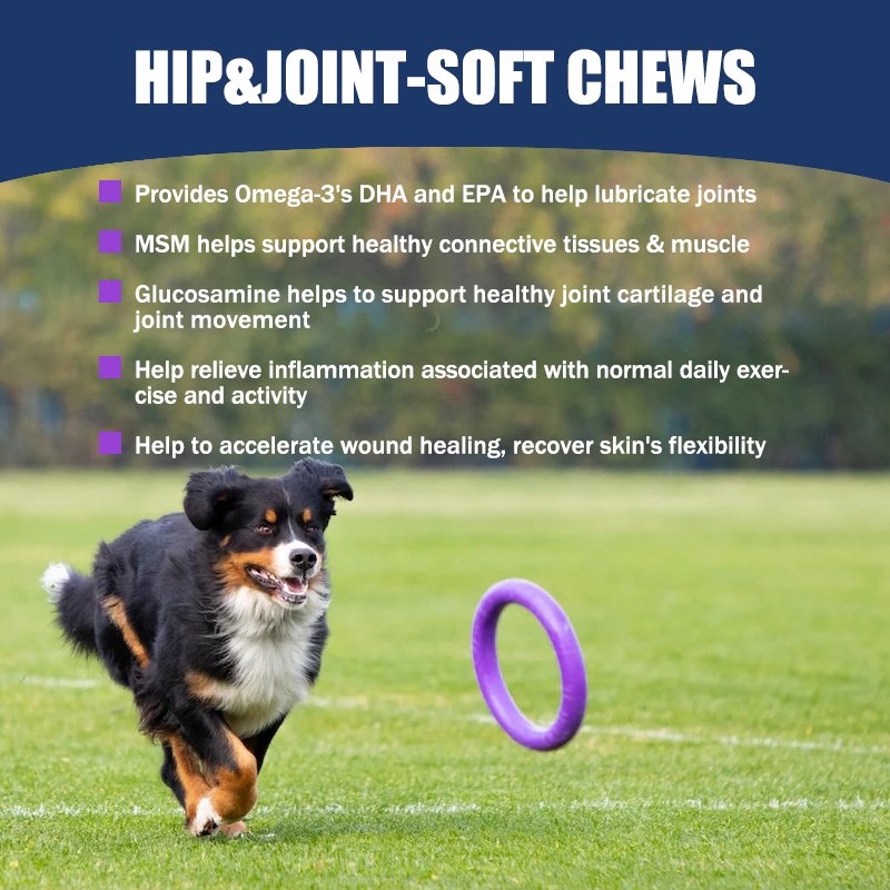 ODM&OEM Pet Chondroitin Sulfate for Joint Health Chewing Gum for Dog&Cat Natural Dogs and Cats Health Supplement
