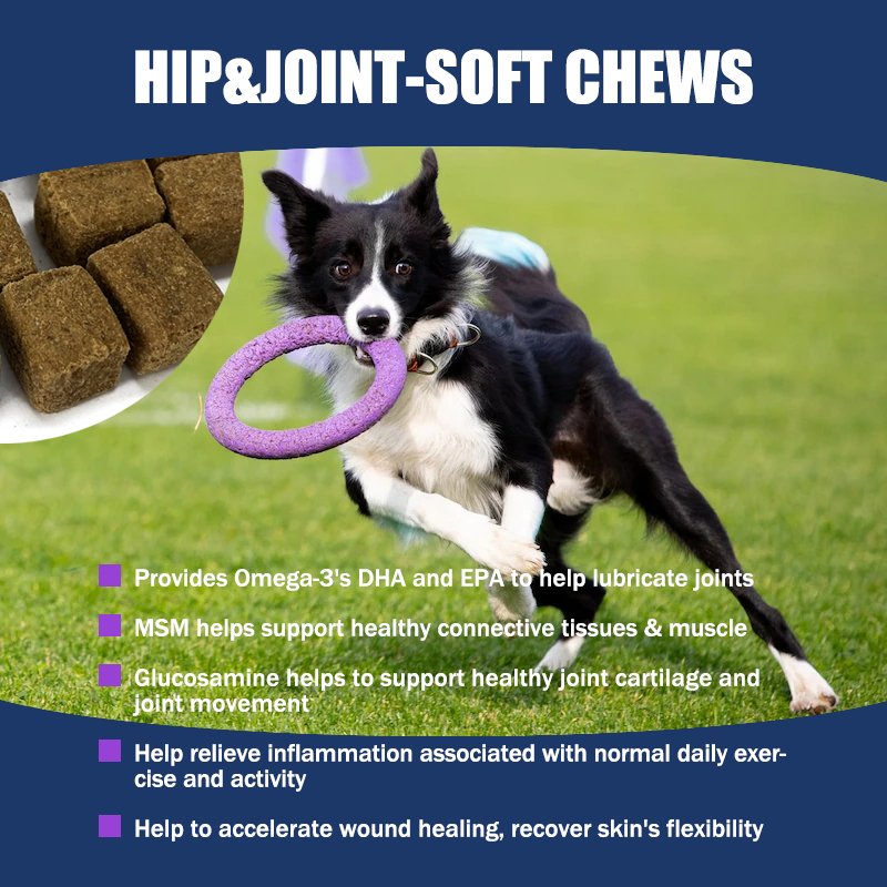 ODM&OEM Pet Chondroitin Sulfate for Joint Health Chewing Gum for Dog&Cat Natural Dogs and Cats Health Supplement