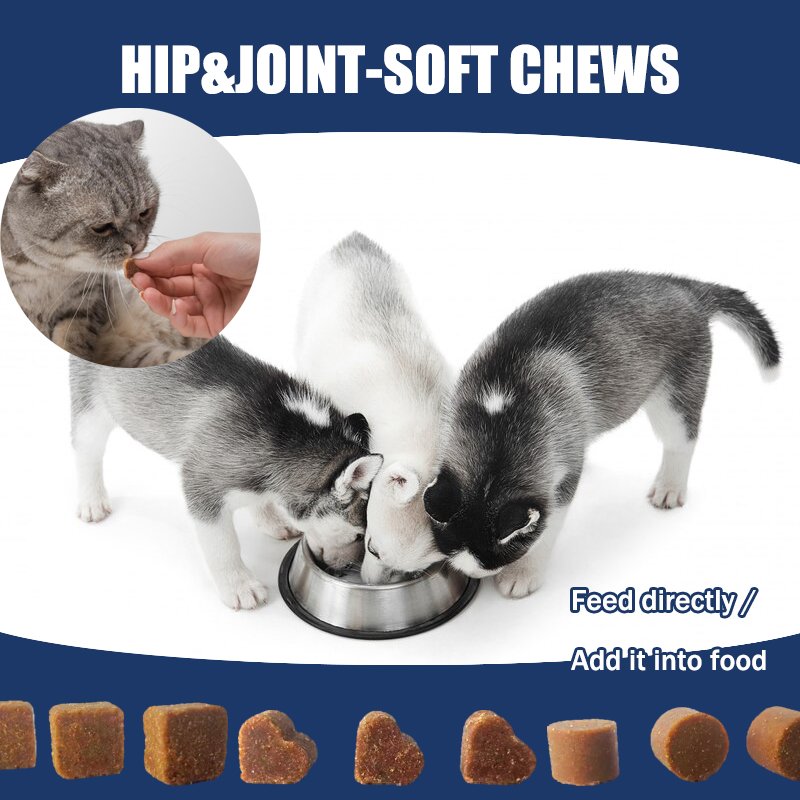 ODM&OEM Pet Chondroitin Sulfate for Joint Health Chewing Gum for Dog&Cat Natural Dogs and Cats Health Supplement