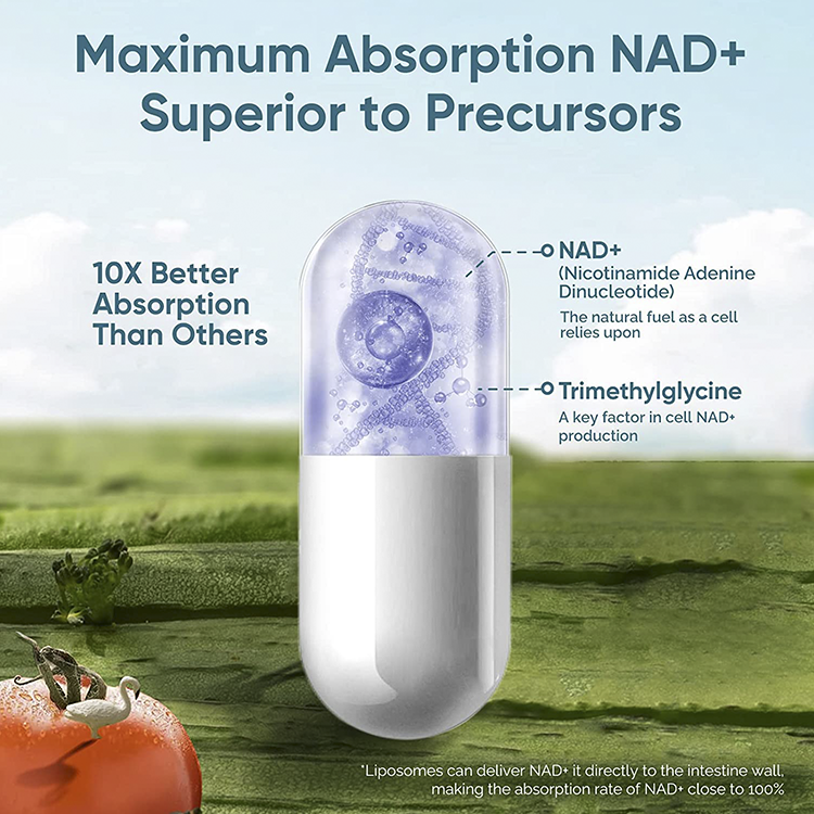 NAD3 NAD+ Booster supplements Clinically Proven & Independently Tested Metabolic Repair