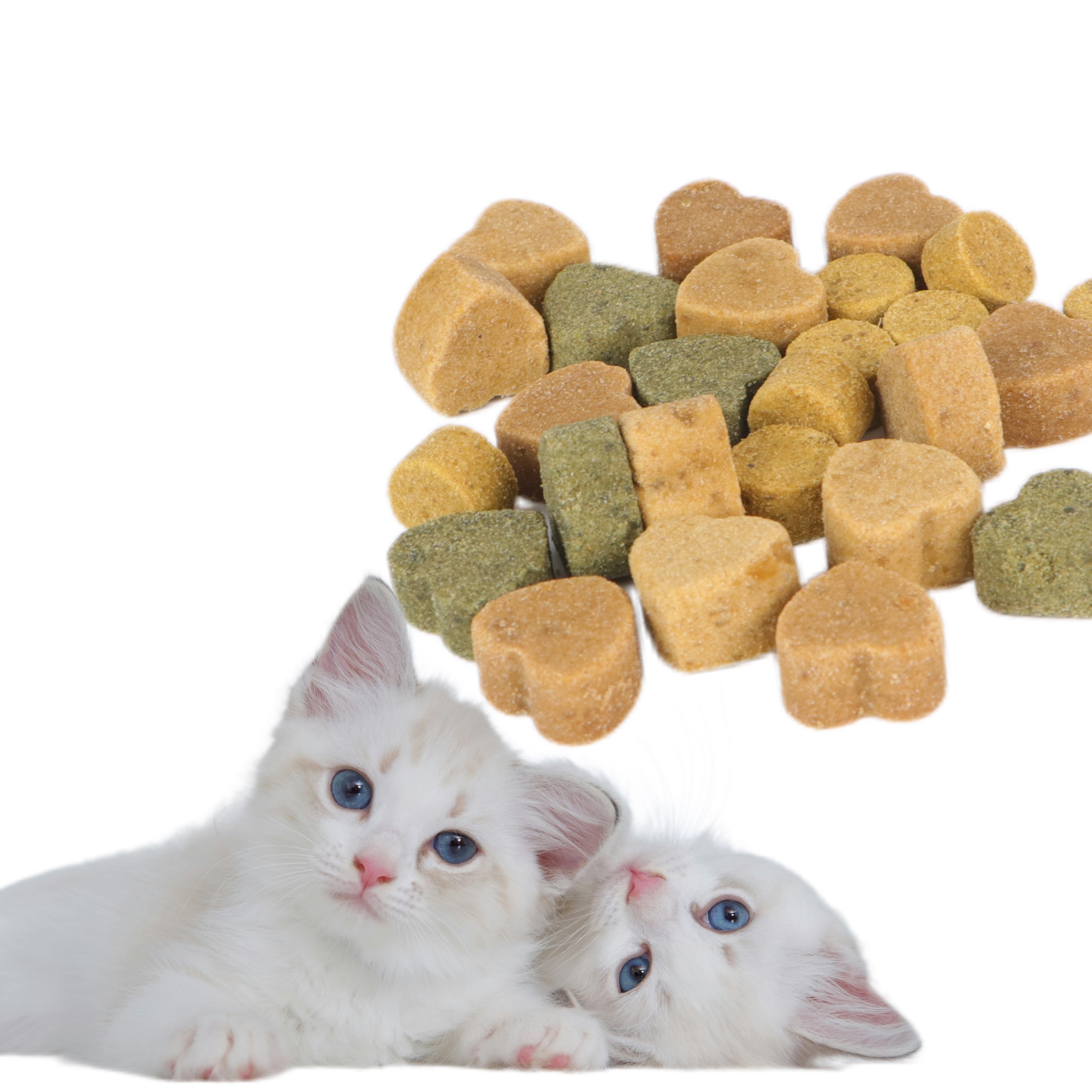 Private Logo Pet Supplement Soft Chews Anxiety and Stress Relief Cat Calming Treats