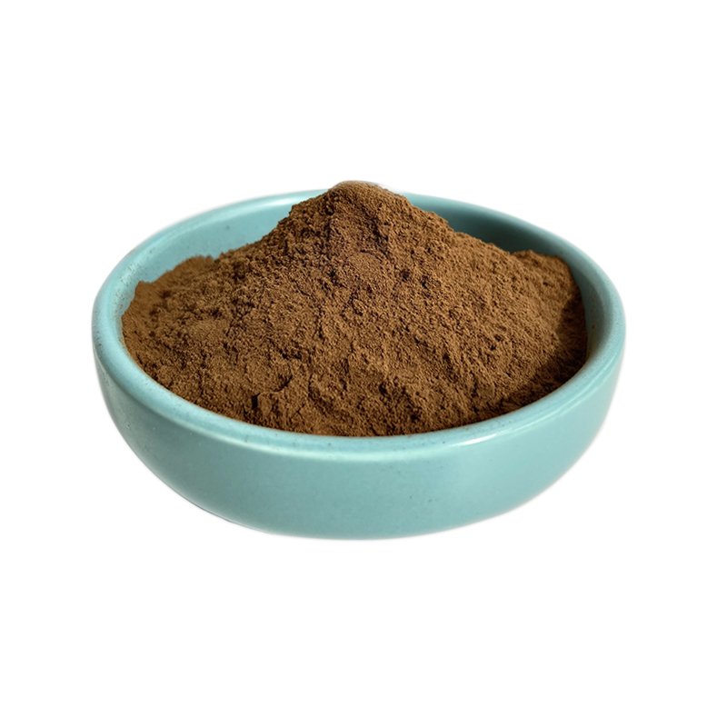 Factory Supplier Echinacea Purpurea Extract Polyphenols 4% Echinacea Extract for Dietary Supplement