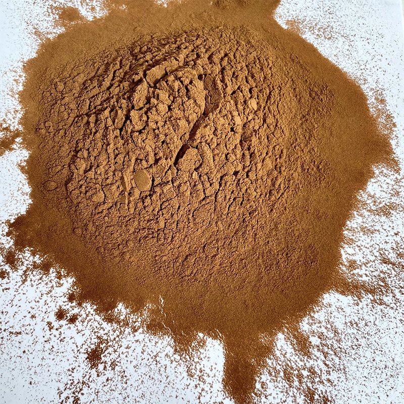 Factory Supplier Echinacea Purpurea Extract Polyphenols 4% Echinacea Extract for Dietary Supplement