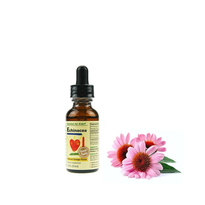 Factory Supplier Echinacea Purpurea Extract Polyphenols 4% Echinacea Extract for Dietary Supplement