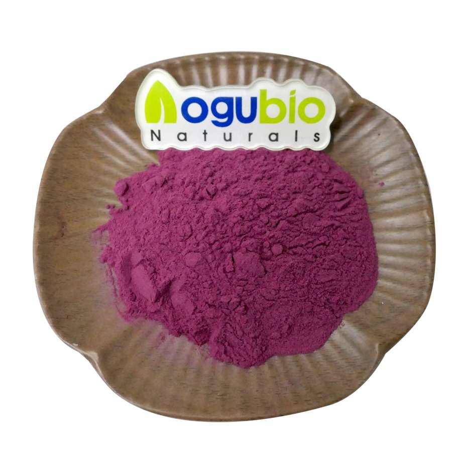 Super Food Red Beet Root Powder Healthcare Supplement Organic Red Beet Root Extract