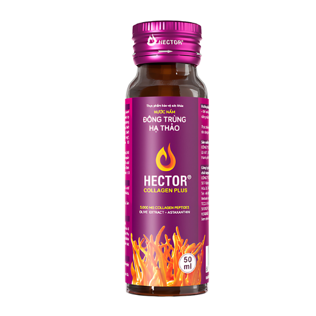Cordyceps Drink Hector Collagen Plus Beauty Collagen Supplements Collagen Serum Anti Aging Cordyceps Extract Good For Health