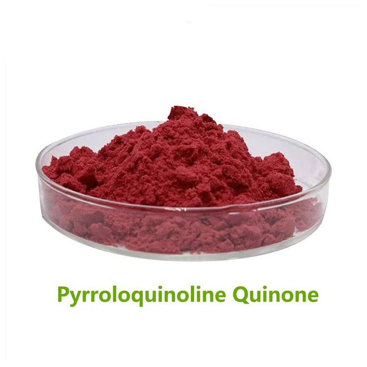 Wholesale CAS 72909-34-3 Healthcare Supplements Pyrroloquinoline Quinone Powder Bulk 98% PQQ