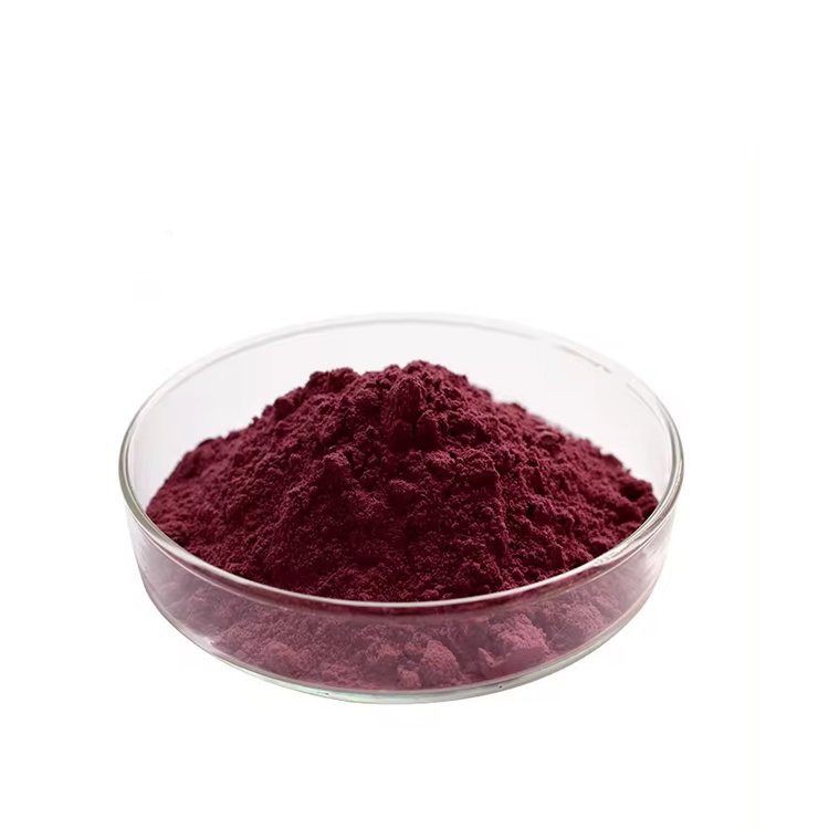 Wholesale CAS 72909-34-3 Healthcare Supplements Pyrroloquinoline Quinone Powder Bulk 98% PQQ