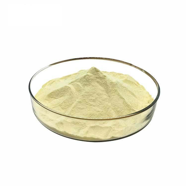 Wholesale Bulk Healthcare Supplement OEM Marine Fish Collagen Peptides Powder