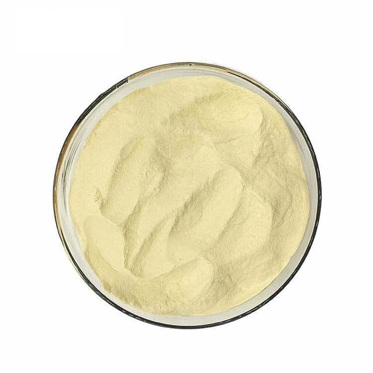Wholesale Bulk Healthcare Supplement OEM Marine Fish Collagen Peptides Powder
