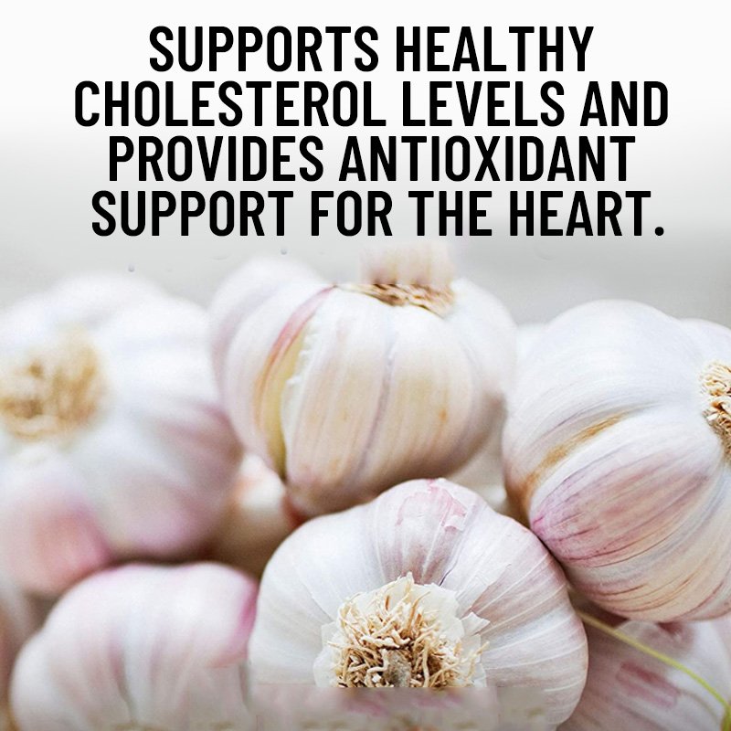 Healthcare Supplement Improved Immunity Supplement Garlic Oil Softgel
