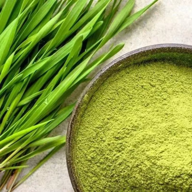 Premium Quality Wheat Grass Powder Herbal Powder