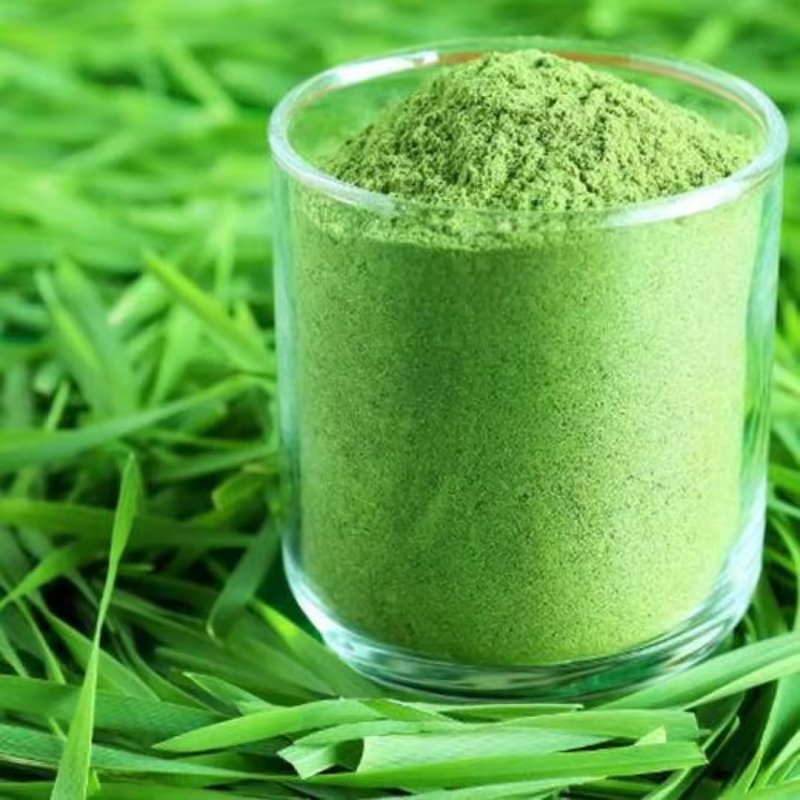 Premium Quality Wheat Grass Powder Herbal Powder