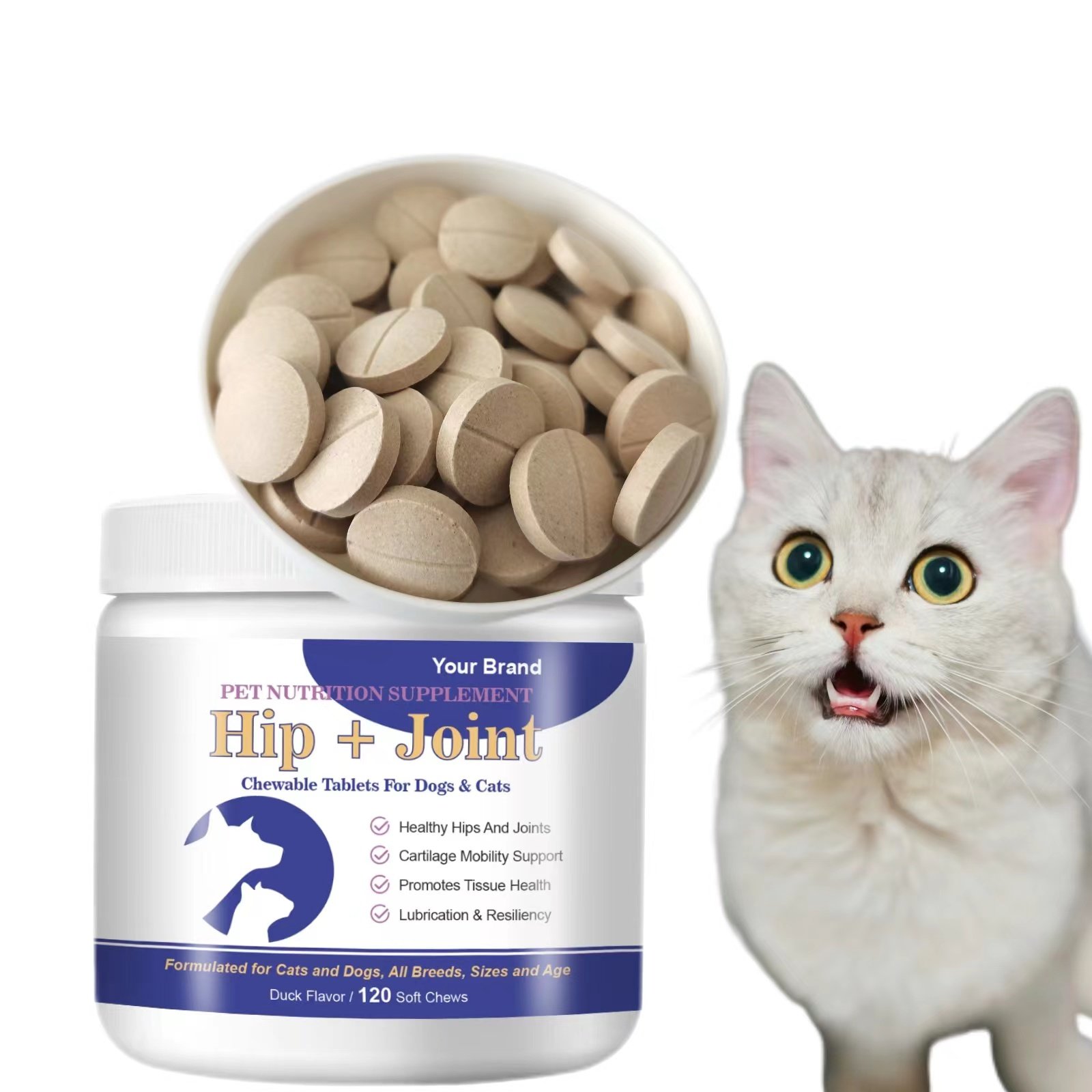Factory OEM/ODM Glucosamine Chondroitin Joint Pain Relief Treats Vitamin Soft Chews for Dogs Cats