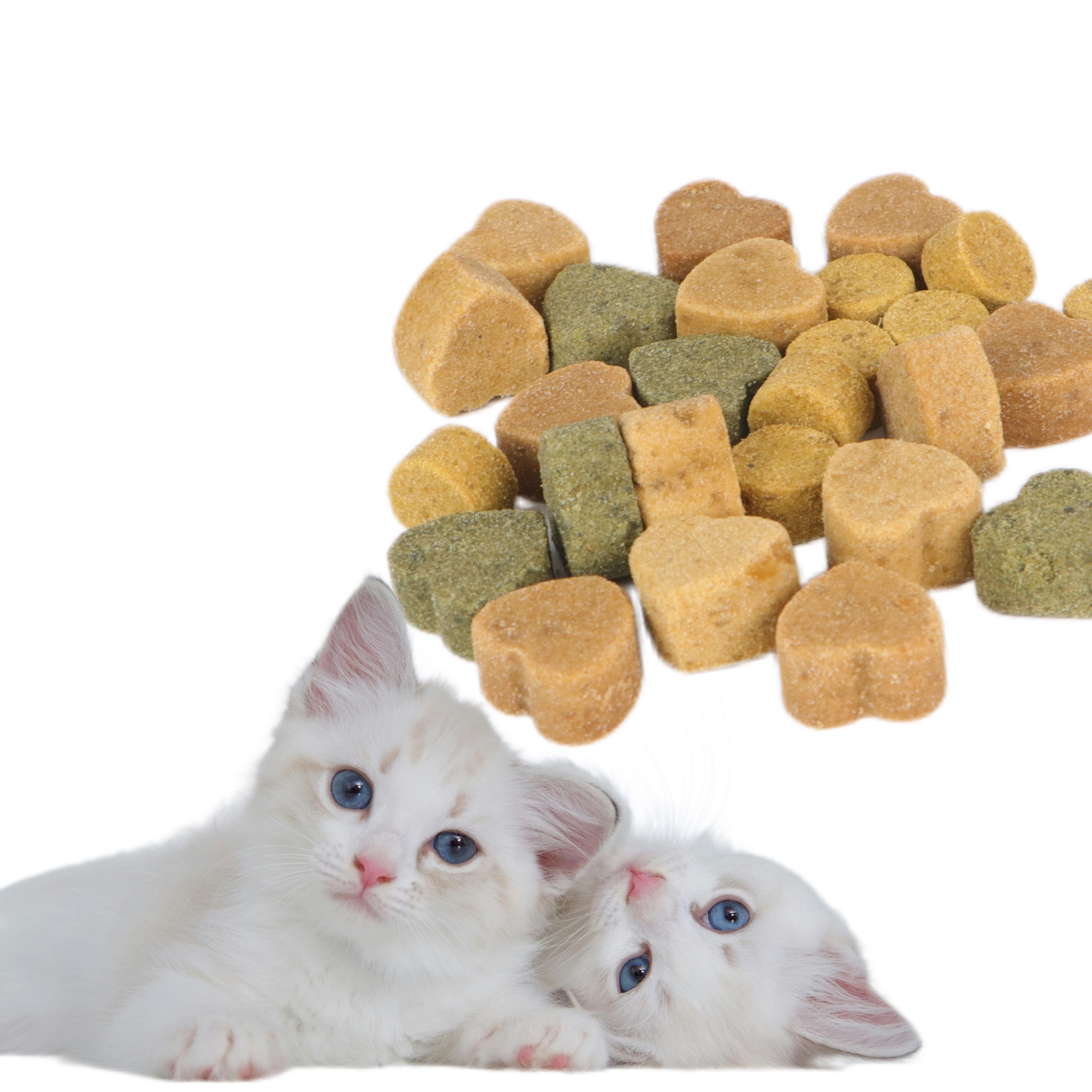 Pet Multivitamin Supplements Immunity 11 in 1 Multivitamin Soft Chews For Dogs and Cats