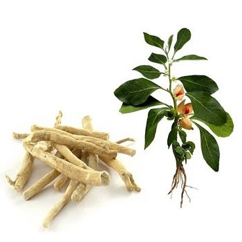 Best Wholesale Price on Organic Ashwagandha Extract Whole Root Dry Spices with HPLC and UV Test Methods Solvent Extraction