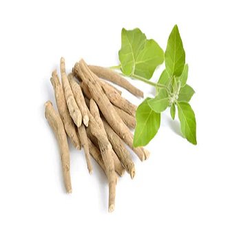 Best Wholesale Price on Organic Ashwagandha Extract Whole Root Dry Spices with HPLC and UV Test Methods Solvent Extraction