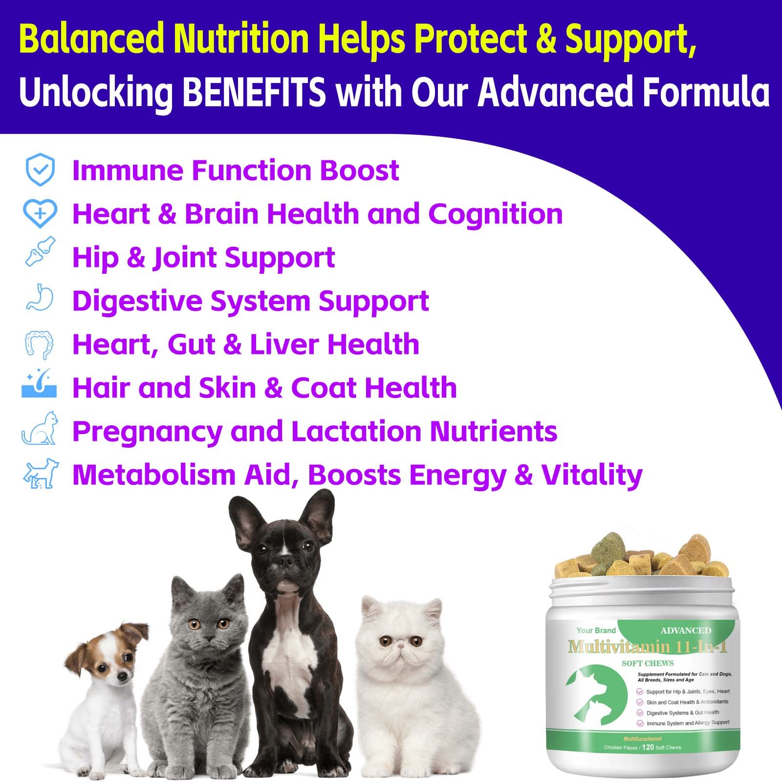Pet Multivitamin Supplement Supports Active Brain Function Immune System and Digestive System for Dogs