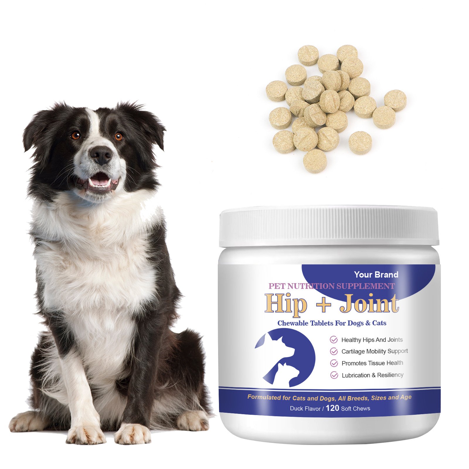 Best Dog Hip & Joint Care Supplement Plus MSM With Glucosamine and Chondroitin for Dogs of All Sizes