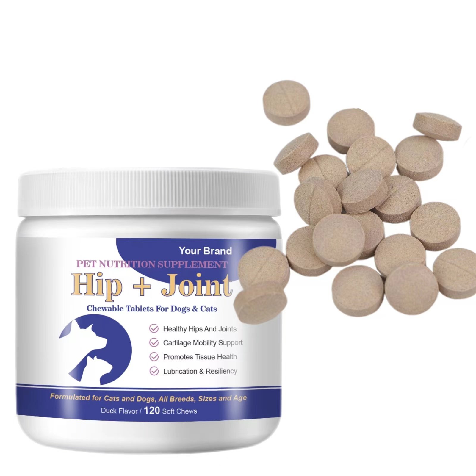 Best Dog Hip & Joint Care Supplement Plus MSM With Glucosamine and Chondroitin for Dogs of All Sizes