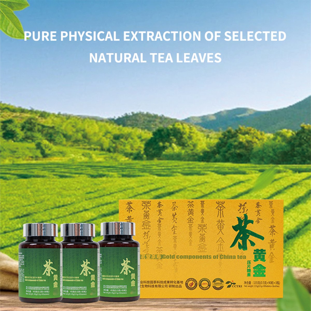Tea Gold Pressed Tablet Candy Immunity Supplement High Purity EGCG Help The Body Antioxidant