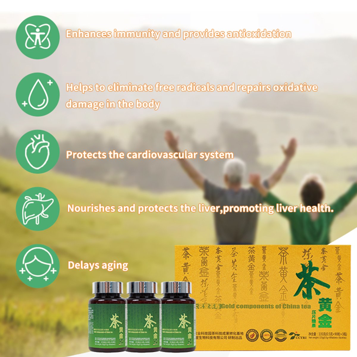 Tea Gold Pressed Tablet Candy Immunity Supplement High Purity EGCG Help The Body Antioxidant