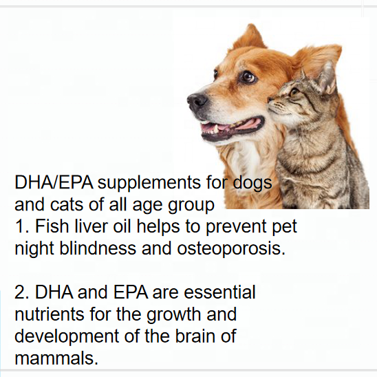2022 Cod liver oil and DHA capsules health care Nutrition supplement for dog