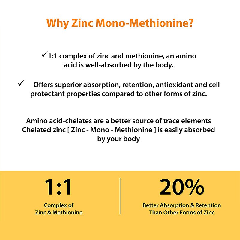 Healthcare Supplements High quality Antioxidant Zinc Supports Immune System Function