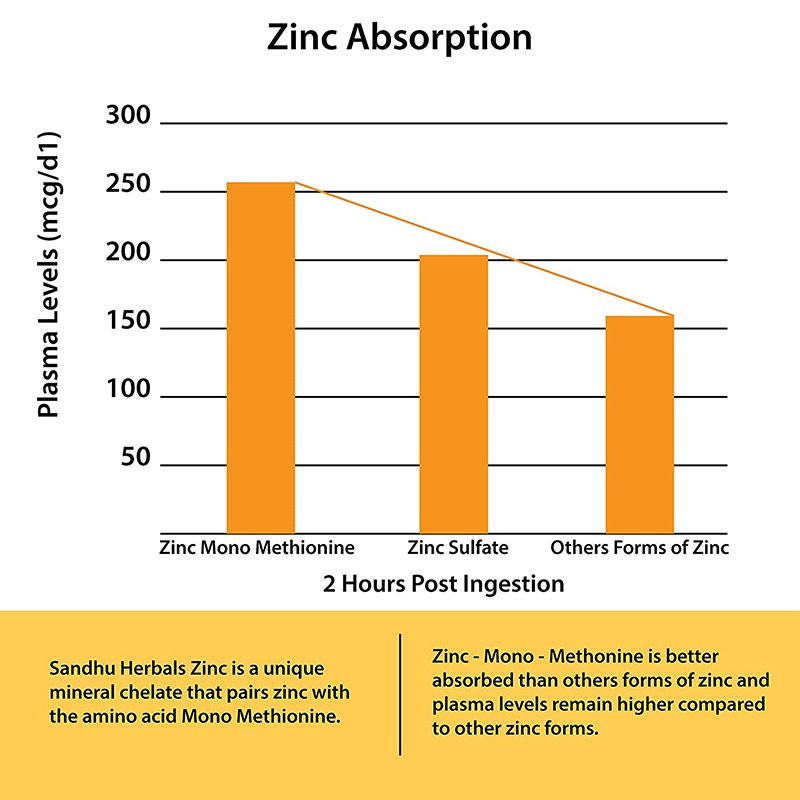 Healthcare Supplements High quality Antioxidant Zinc Supports Immune System Function