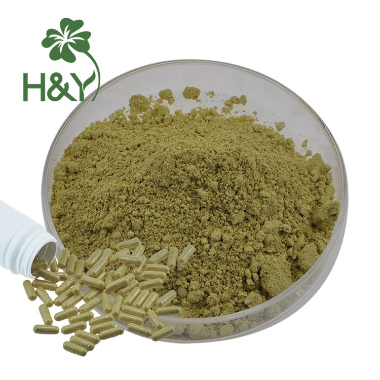 Hot Selling High Quality Luteolin 98% Supplements Sophora Japonica Extract Luteolin Powder