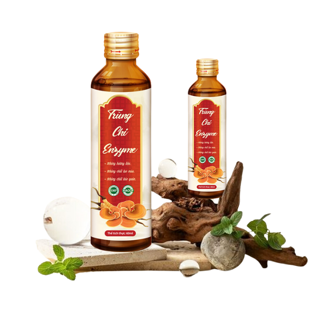 Trung Chi Enzyme Cordyceps And Ganoderma Mushrooms Enzyme Drink Good For Health Rich Minerals High Quality Best Price