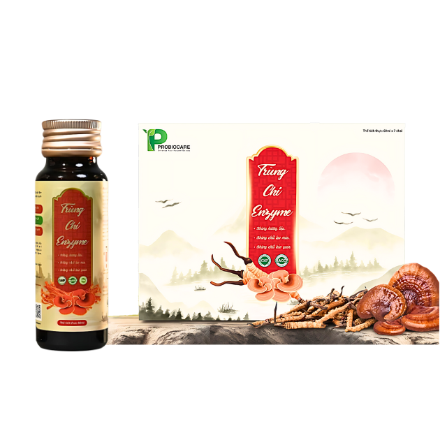 Trung Chi Enzyme Cordyceps And Ganoderma Mushrooms Enzyme Drink Good For Health Rich Minerals High Quality Best Price