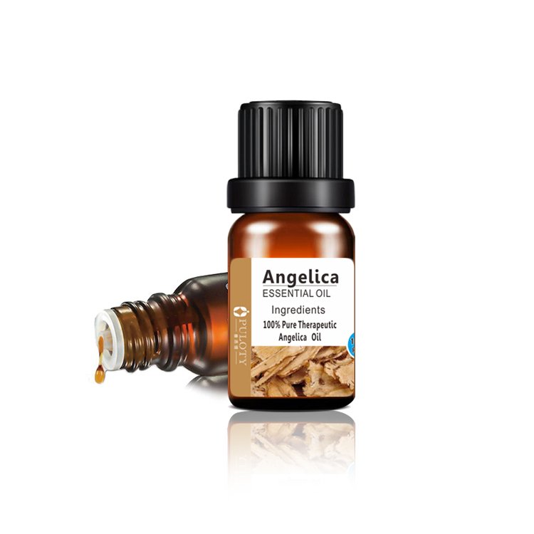 10ml dahurica root extract oil healthcare Supplement herbal Chinese Angelica oil