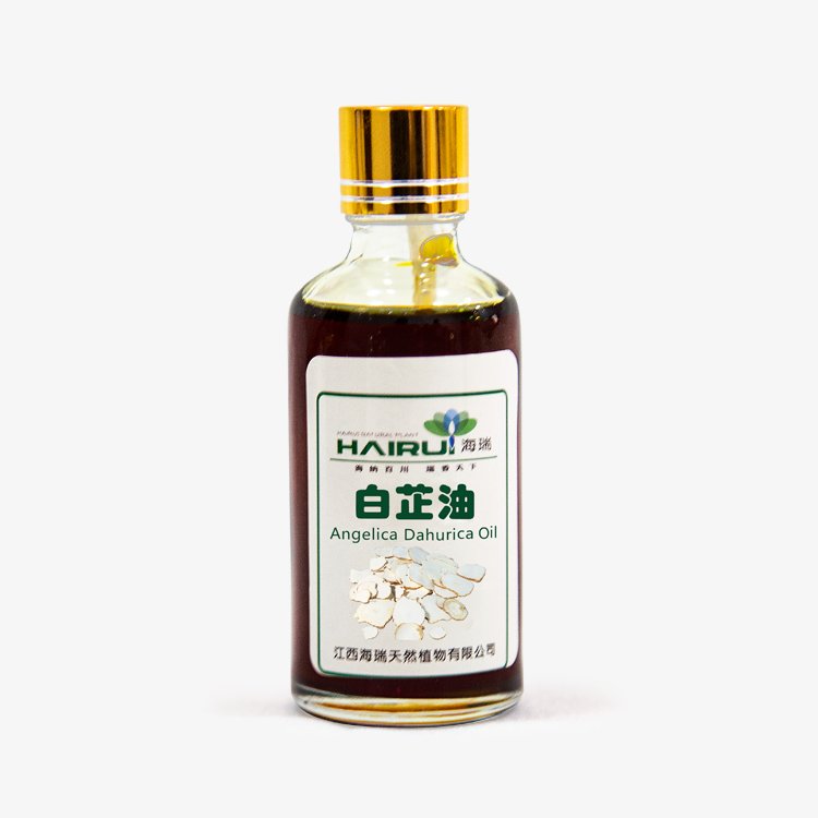 10ml dahurica root extract oil healthcare Supplement herbal Chinese Angelica oil