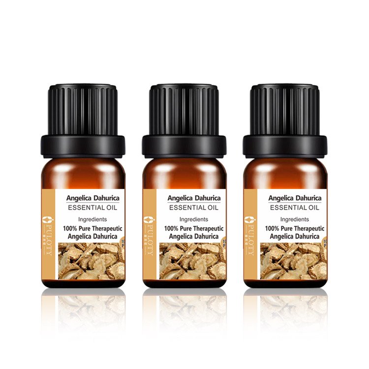 10ml dahurica root extract oil healthcare Supplement herbal Chinese Angelica oil