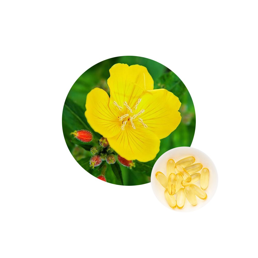 High quality evening primrose oil softgel capsules