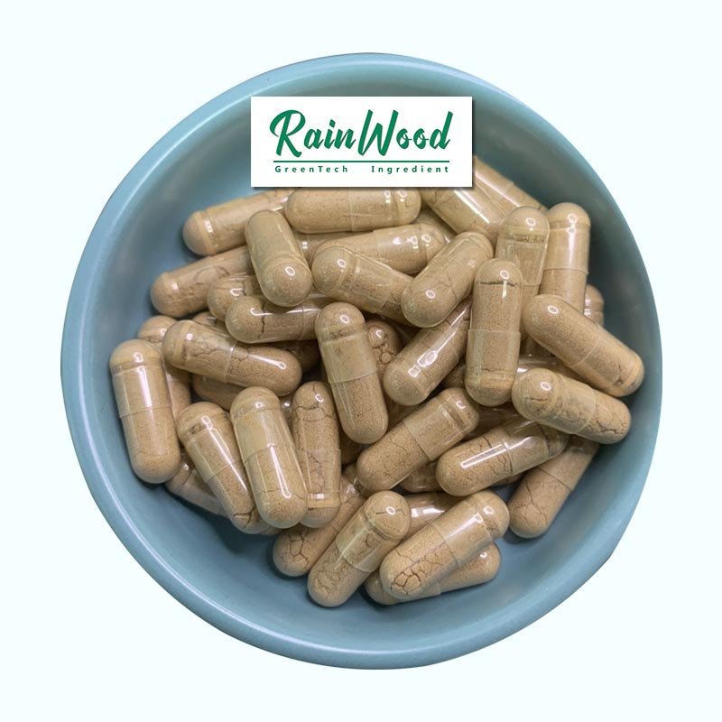 Gut Health Supplement Probiotic For Gut Health Gut Health Capsules